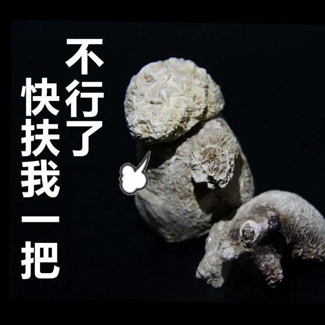 半夜腰杆痛醒?输尿管结石在“搞事”,一定要认清它【成都仅一家结石专科】(图2) 半夜腰杆痛醒?输尿管结石在“搞事”,一定要认清它【成都仅一家结石专科】(图2)